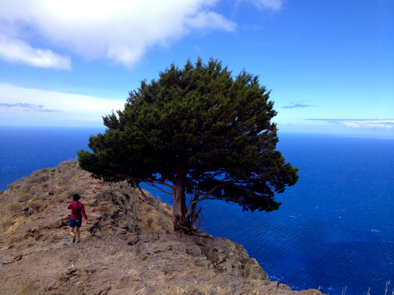 2012/05/15 La Gomera day4 -Mt. La Merica-_b0220886_17432652.jpg