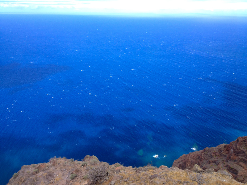 2012/05/15 La Gomera day4 -Mt. La Merica-_b0220886_17434446.jpg