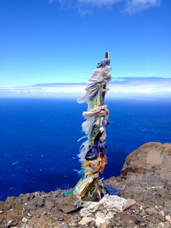 2012/05/15 La Gomera day4 -Mt. La Merica-_b0220886_17441433.jpg