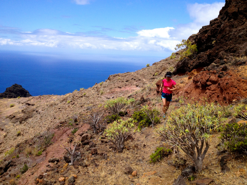 2012/05/16 La Gomera day5 -Sea Cliff to Magical Forests-_b0220886_18412498.jpg