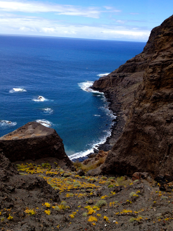 2012/05/16 La Gomera day5 -Sea Cliff to Magical Forests-_b0220886_18582475.jpg