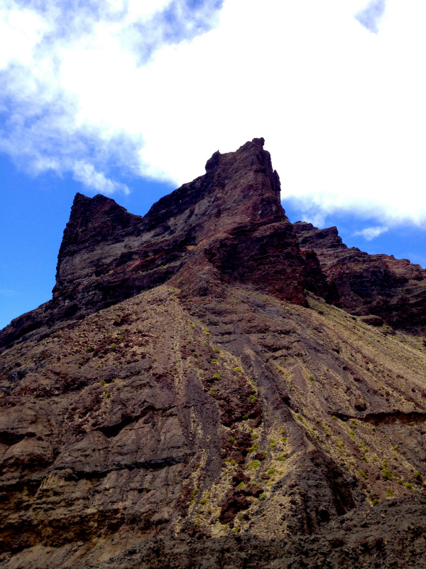 2012/05/16 La Gomera day5 -Sea Cliff to Magical Forests-_b0220886_1859669.jpg