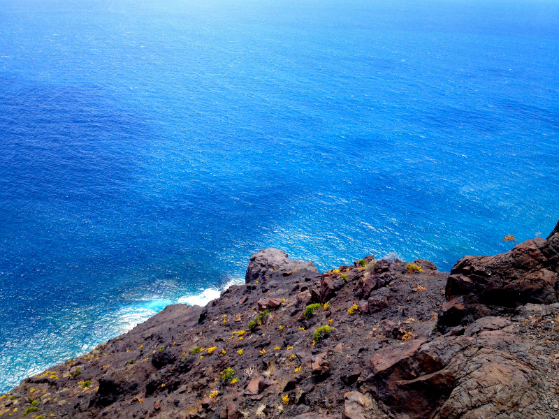 2012/05/16 La Gomera day5 -Sea Cliff to Magical Forests-_b0220886_1902462.jpg
