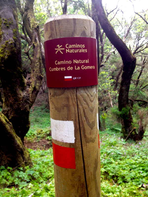 2012/05/16 La Gomera day5 -Sea Cliff to Magical Forests-_b0220886_19104015.jpg