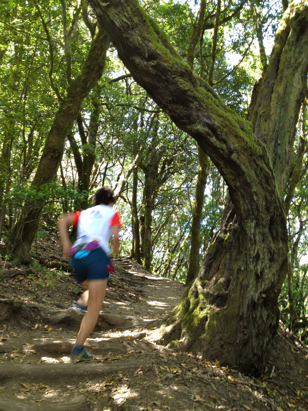 2012/05/13 La Gomera day2 -El Contadero~El Cedro-_b0220886_192312.jpg