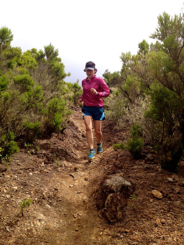 2012/05/16 La Gomera day5 -Sea Cliff to Magical Forests-_b0220886_1952375.jpg