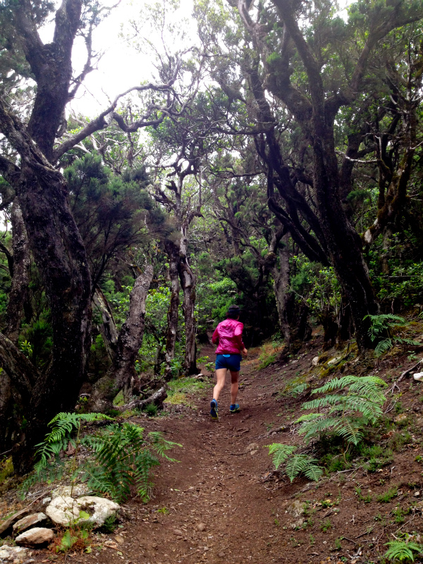 2012/05/16 La Gomera day5 -Sea Cliff to Magical Forests-_b0220886_1953728.jpg