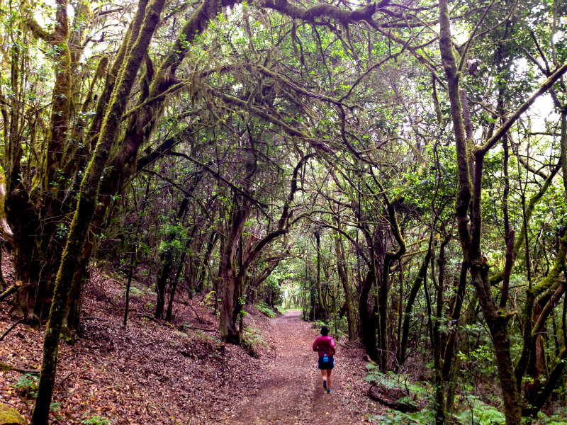 2012/05/16 La Gomera day5 -Sea Cliff to Magical Forests-_b0220886_1993691.jpg