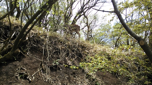 e0015490_21112879.jpg
