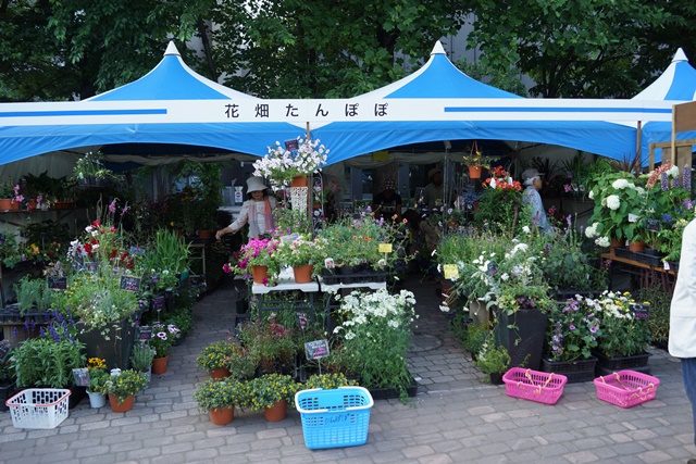 d0181492_013750.jpg