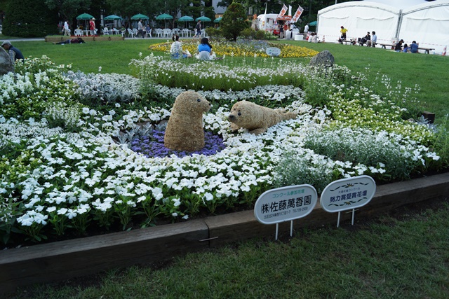 ⑥札幌大通公園の花、参議院選挙頑張れ維新の会、安倍総理自民党と維新の会の連合を、安倍総理に超・期待_d0181492_024447.jpg