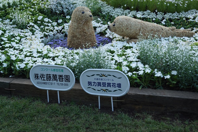 ⑥札幌大通公園の花、参議院選挙頑張れ維新の会、安倍総理自民党と維新の会の連合を、安倍総理に超・期待_d0181492_0261610.jpg