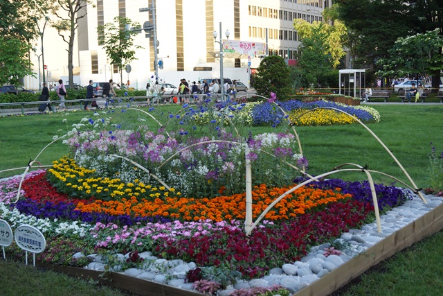 ⑥札幌大通公園の花、参議院選挙頑張れ維新の会、安倍総理自民党と維新の会の連合を、安倍総理に超・期待_d0181492_0265872.jpg