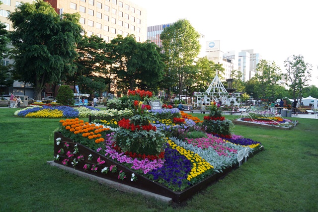 ⑥札幌大通公園の花、参議院選挙頑張れ維新の会、安倍総理自民党と維新の会の連合を、安倍総理に超・期待_d0181492_027135.jpg