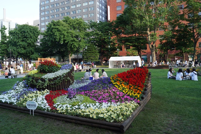 ⑥札幌大通公園の花、参議院選挙頑張れ維新の会、安倍総理自民党と維新の会の連合を、安倍総理に超・期待_d0181492_0281238.jpg