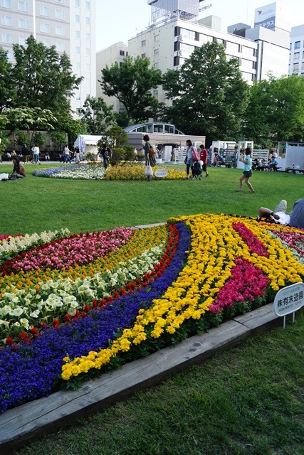 ⑥札幌大通公園の花、参議院選挙頑張れ維新の会、安倍総理自民党と維新の会の連合を、安倍総理に超・期待_d0181492_0291786.jpg