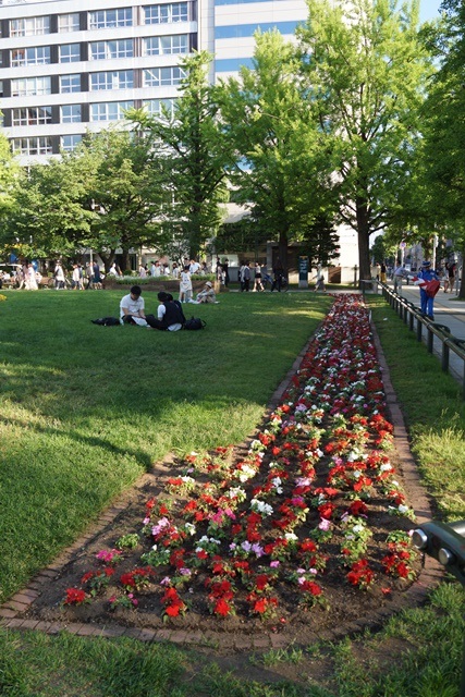 ⑥札幌大通公園の花、参議院選挙頑張れ維新の会、安倍総理自民党と維新の会の連合を、安倍総理に超・期待_d0181492_0305612.jpg