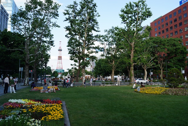 d0181492_03083.jpg
