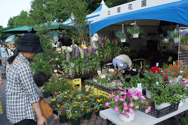 d0181492_031371.jpg