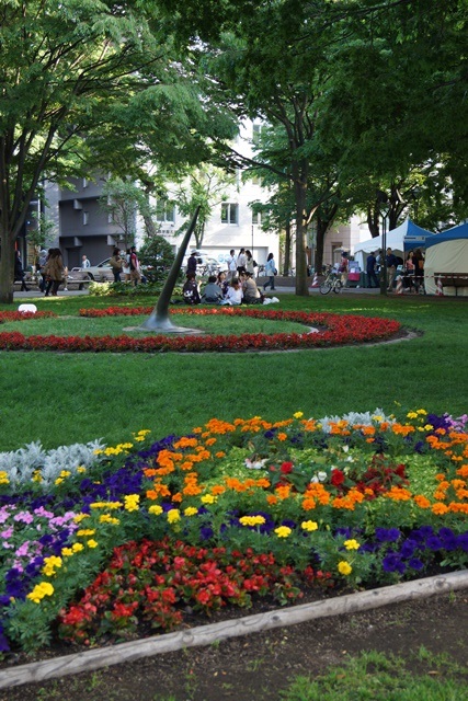 ⑥札幌大通公園の花、参議院選挙頑張れ維新の会、安倍総理自民党と維新の会の連合を、安倍総理に超・期待_d0181492_0332328.jpg