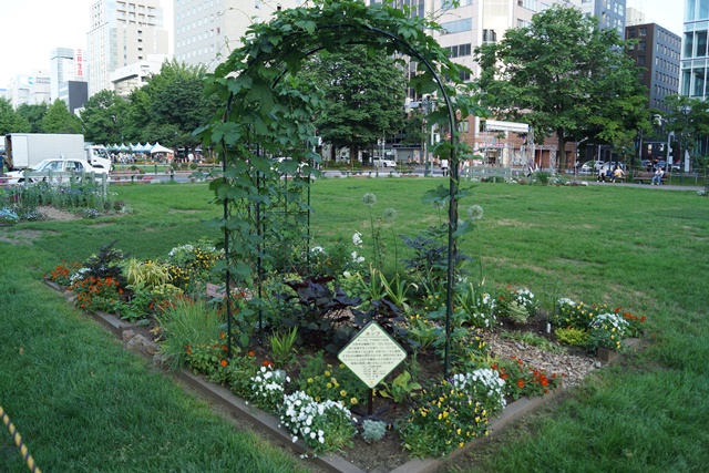 ⑥札幌大通公園の花、参議院選挙頑張れ維新の会、安倍総理自民党と維新の会の連合を、安倍総理に超・期待_d0181492_034297.jpg