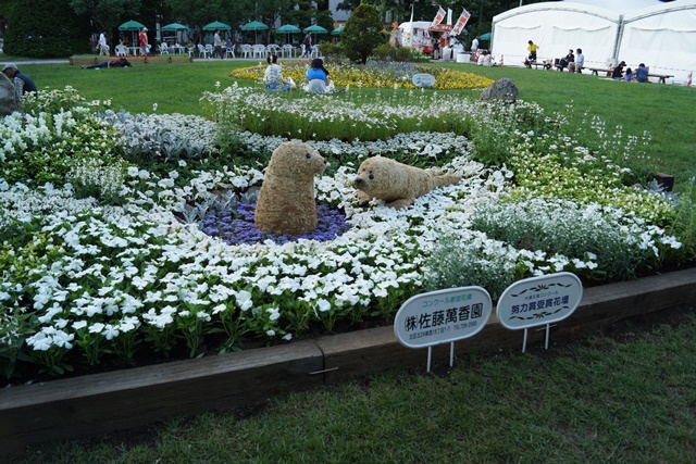 d0181492_035030.jpg