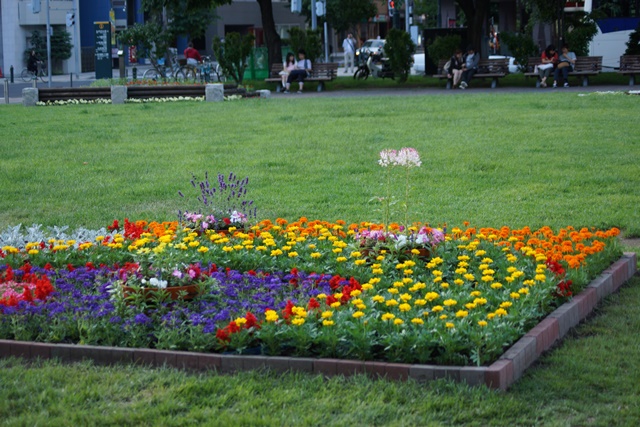 d0181492_0352461.jpg