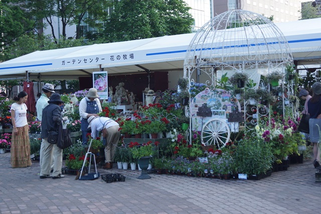 d0181492_05231.jpg