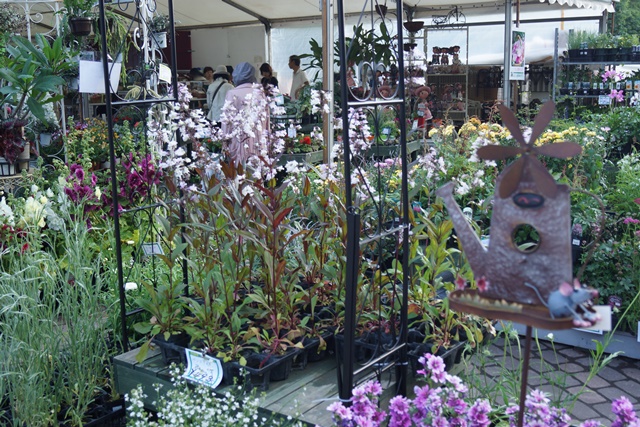 d0181492_053857.jpg