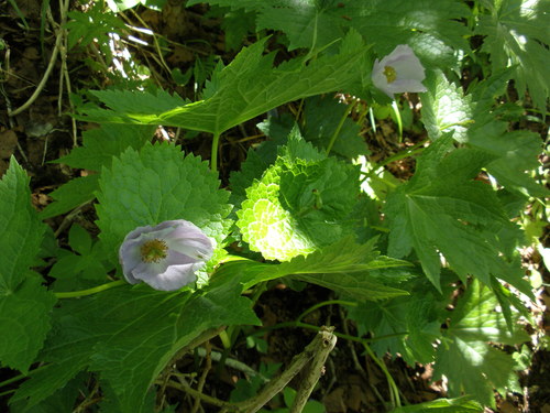 f0297492_17102574.jpg