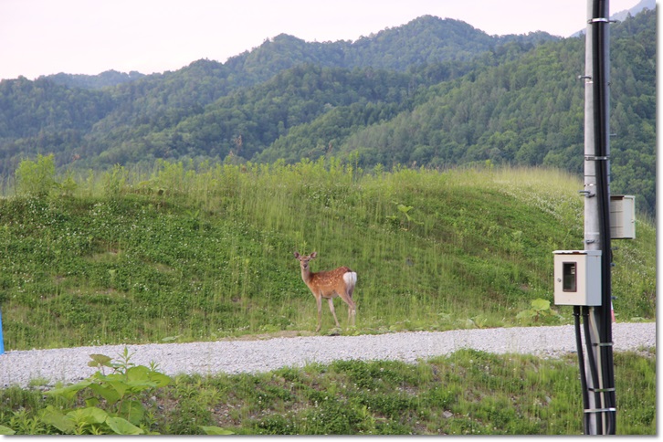 帰りの風景（６・２５）_f0146493_22271147.jpg