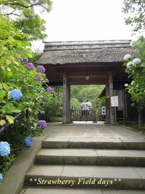 c0087094_2047453.jpg