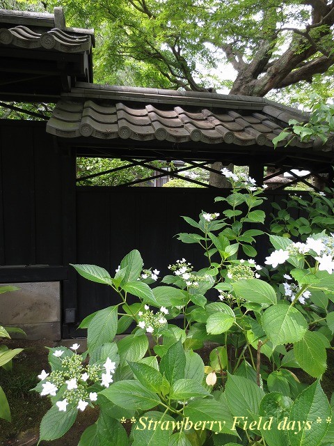 c0087094_20503821.jpg