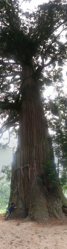 e0087595_15425276.jpg