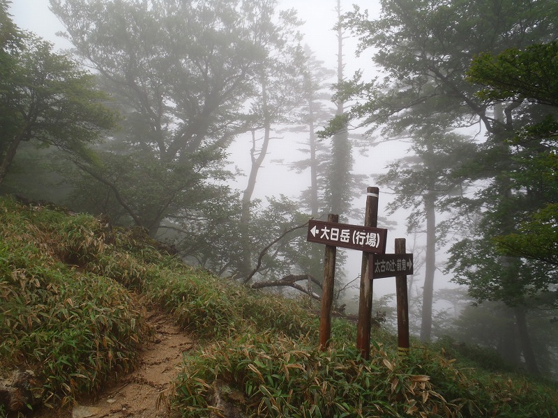 c0147398_22154089.jpg