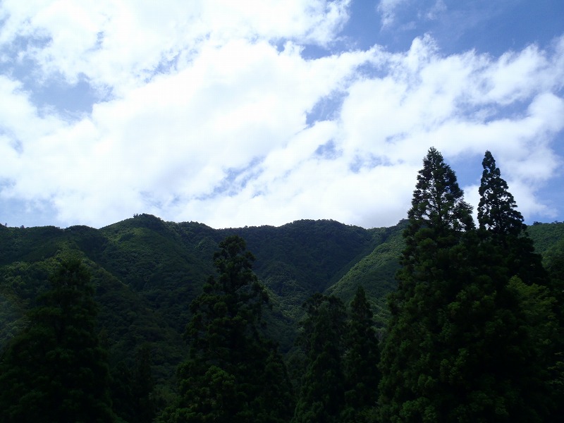 c0147398_22171370.jpg
