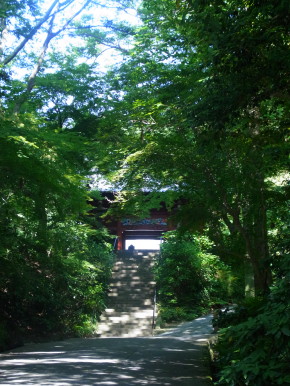 c0172698_21534438.jpg
