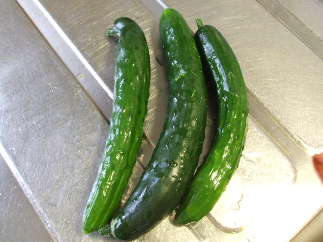 f0019498_14401076.jpg
