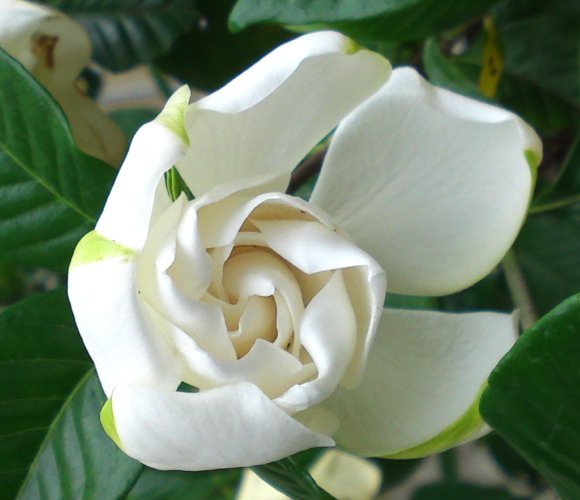 a0031000_16275354.jpg