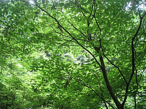 d0046702_12573877.jpg