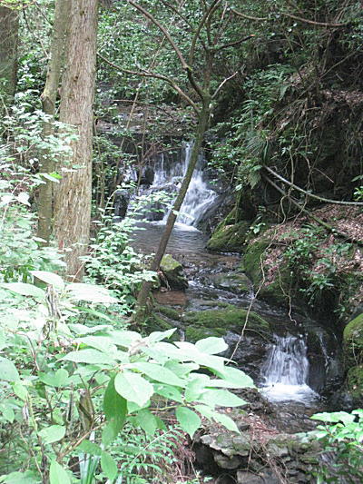d0046702_12582555.jpg