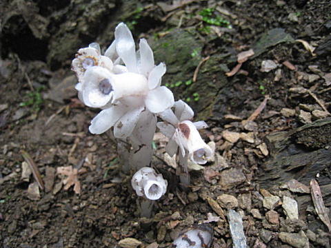 d0046702_12582998.jpg