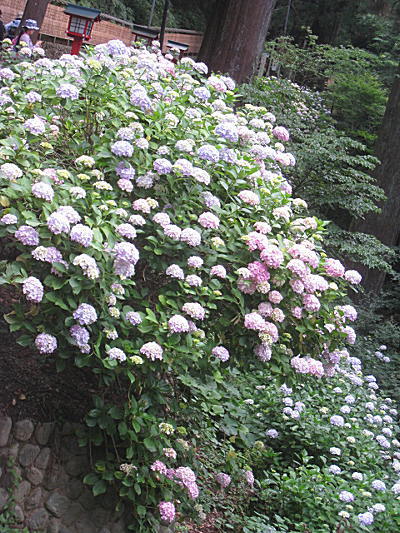 d0046702_1258761.jpg