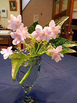 e0118904_19551436.jpg