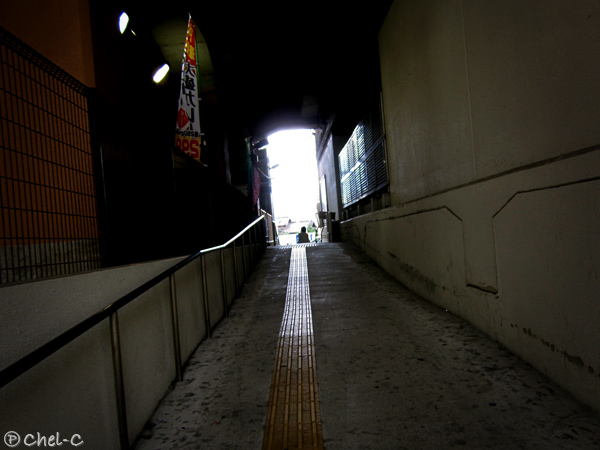a0154706_145912.jpg