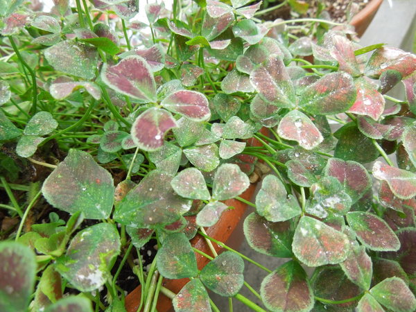 f0297809_21502866.jpg