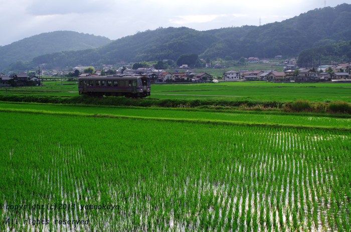 d0309612_2185885.jpg