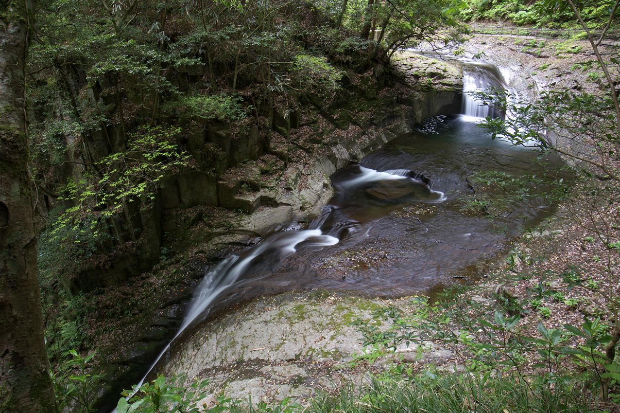 b0260713_21442699.jpg