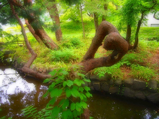 c0248013_11235870.jpg