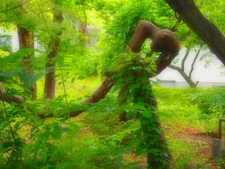 c0248013_11245265.jpg